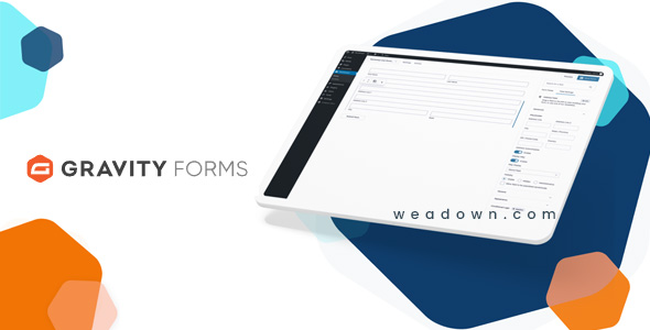 Gravity Forms 2.7.0.3 – Form Plugin